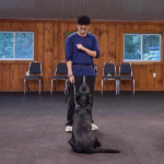 woman training dog